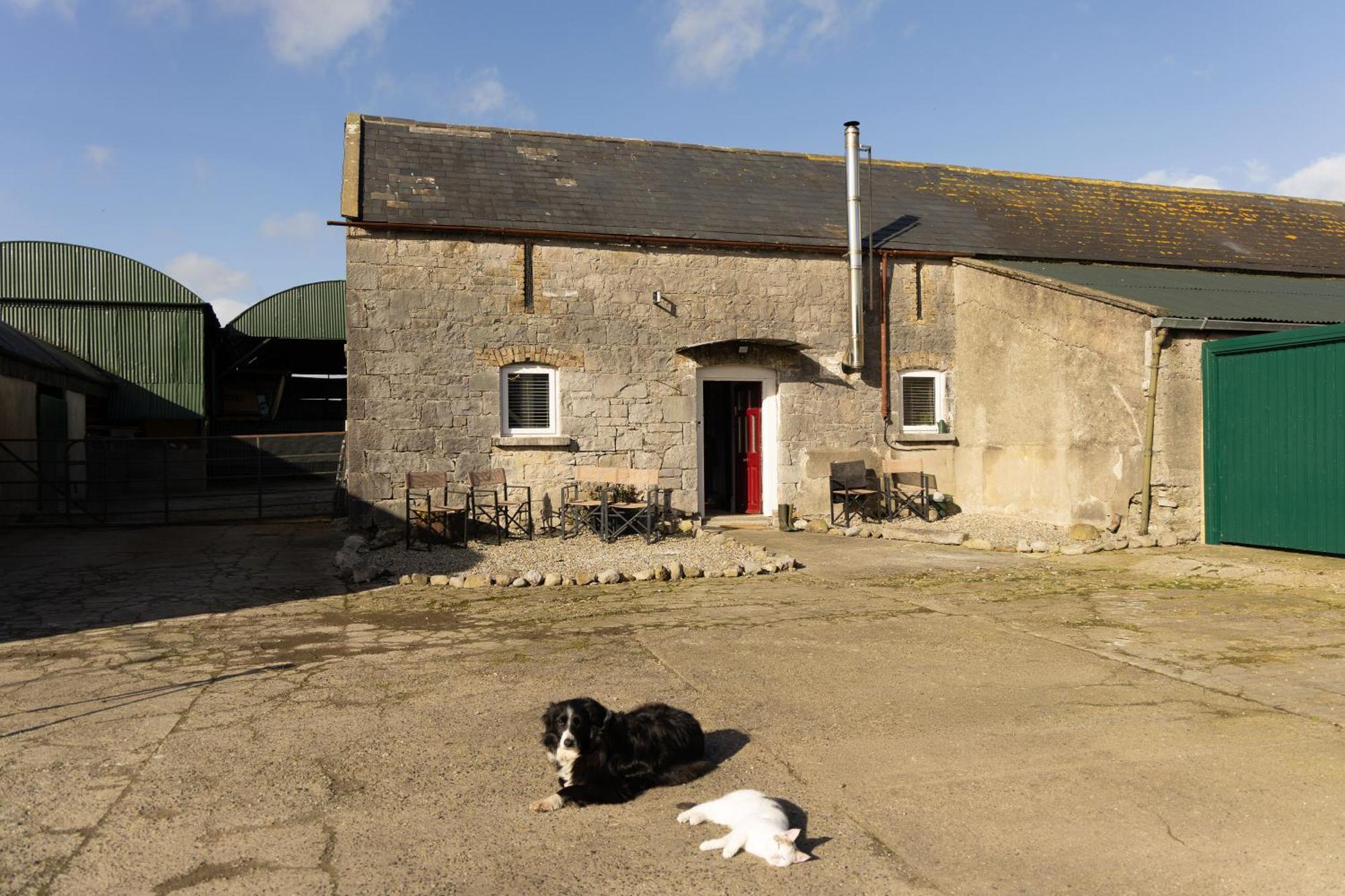 Fitz Of Inch Hotell Stradbally  Exteriör bild